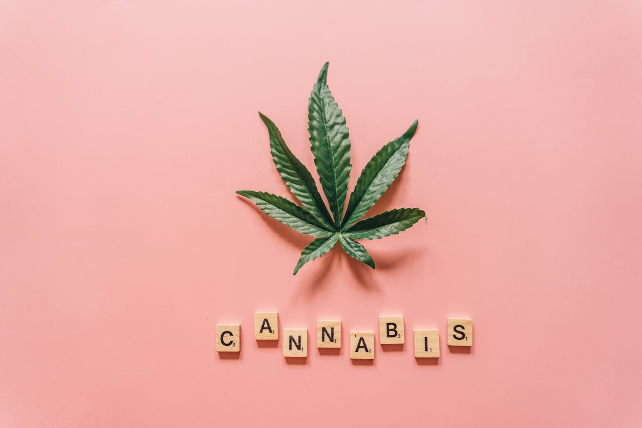 Le CBD, un cannabinoïde non psychoactif